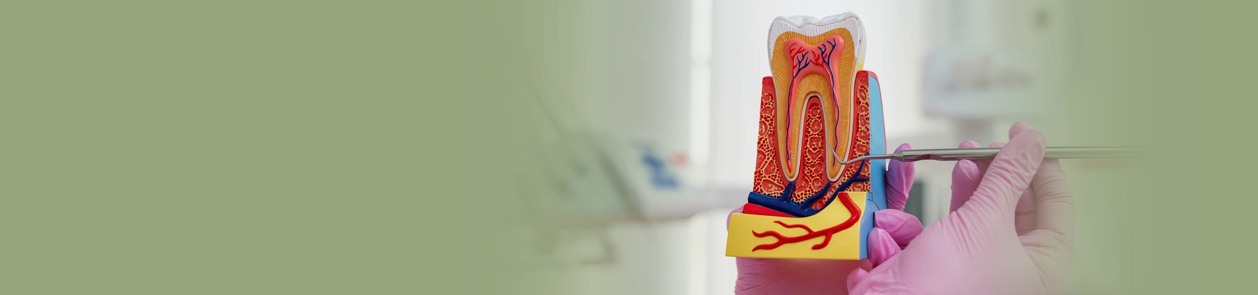 Banner da página Endodontia