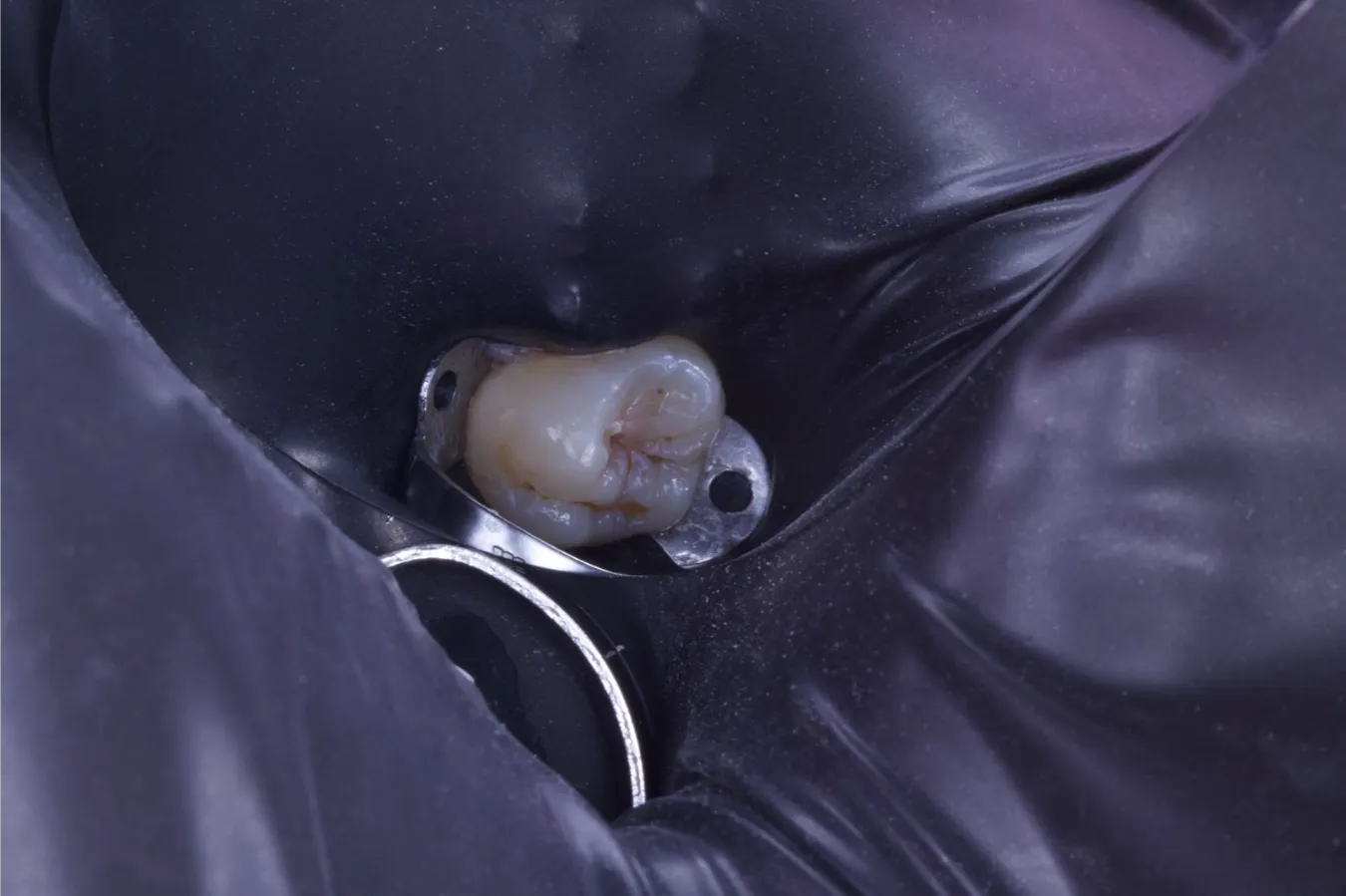 Iviér Odontologia — imagem 03