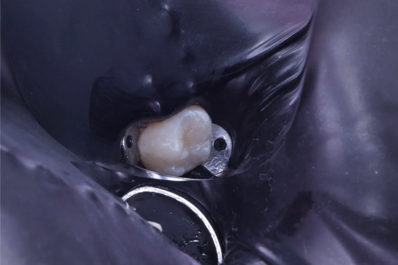 Iviér Odontologia — imagem 04
